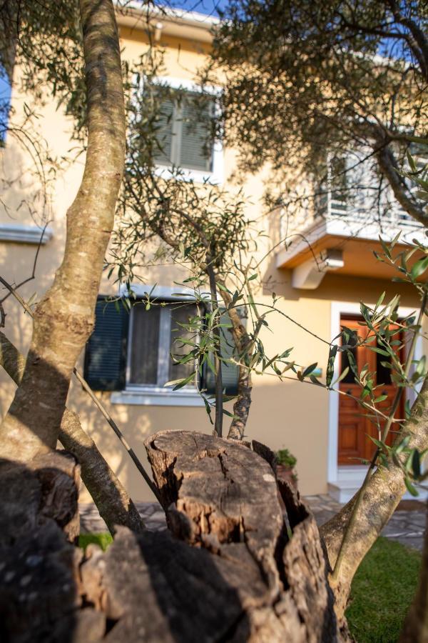 Vk Villas Apolpaina Bagian luar foto